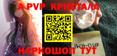 стаф Шелехов