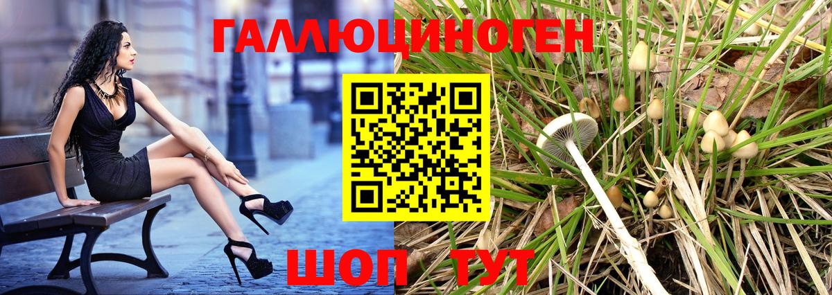 Галлюциногенные грибы мухоморы Донской