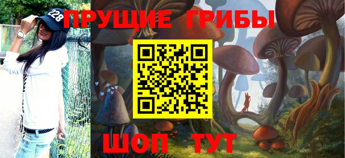 Донской  Галлюциногенные грибы MAGIC MUSHROOMS  Вход с VPN 